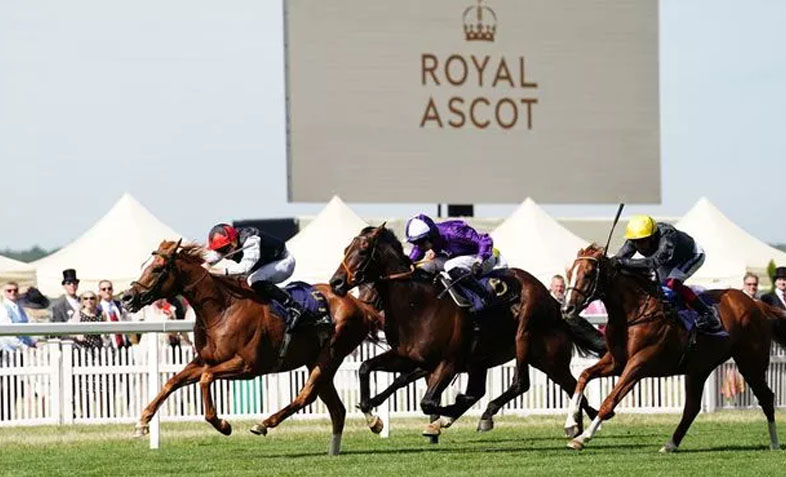 Royal Ascot Chauffeur Service London – Luxury Car Hire For Royal Ascot