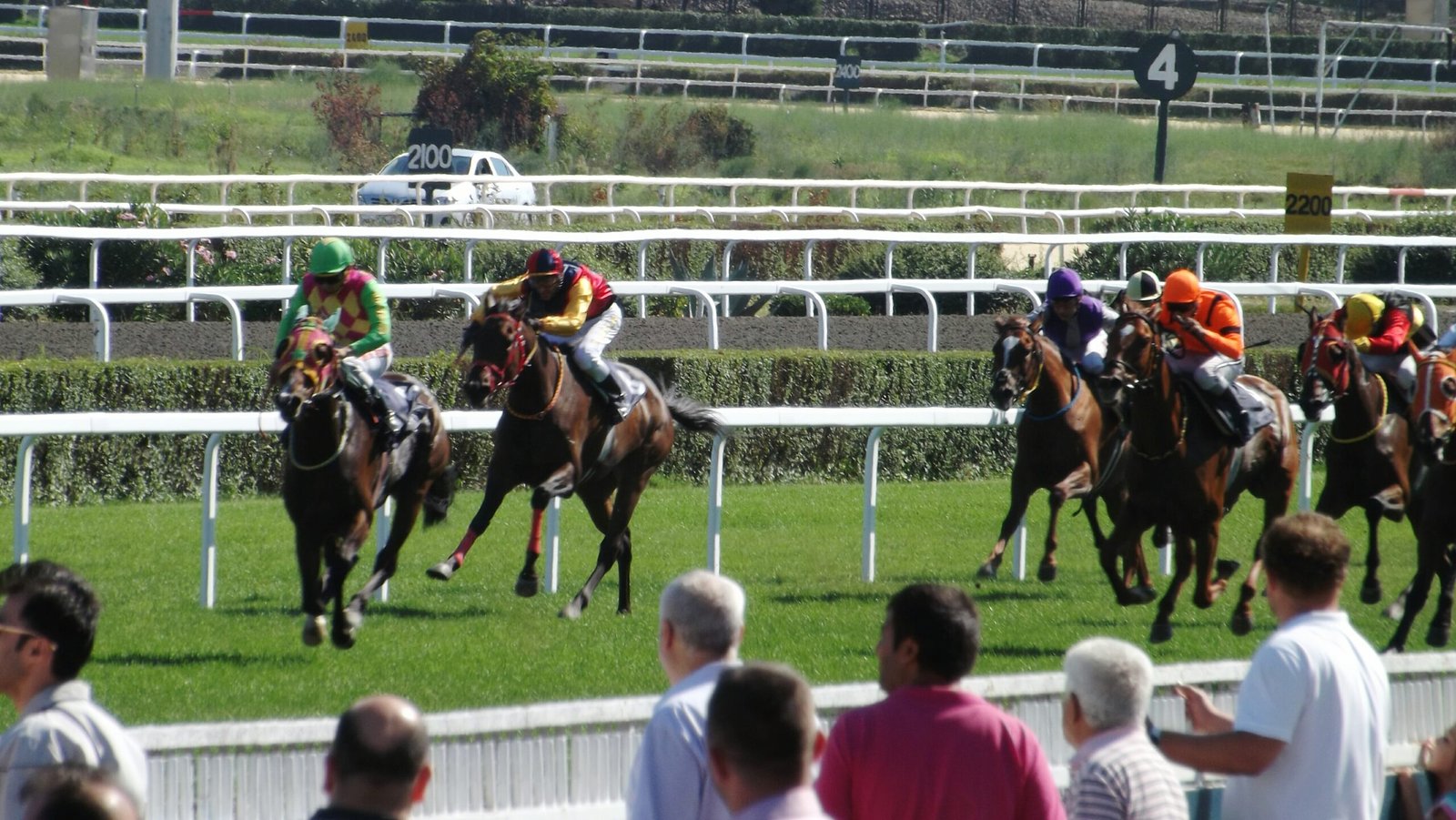 Royal Windsor Horse Show – Chauffeurs services